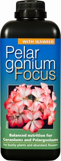 Geranium Focus 1 liter