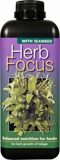 Herb Focus 1 litre