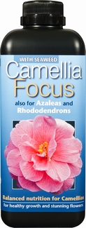 Camellia Focus 1 litre