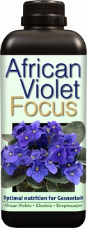African Violet Focus 1 litre