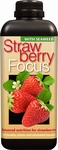 Strawberry Focus 1 litre 