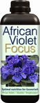 African Violet Focus 1 litre 